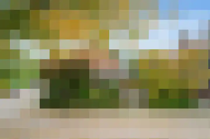 Anemoonstraat 2 Olst thumbnail 27