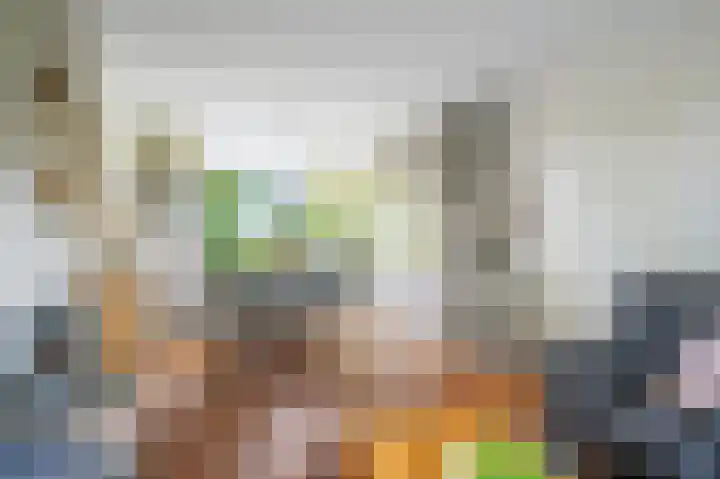 Anemoonstraat 2 Olst thumbnail 4