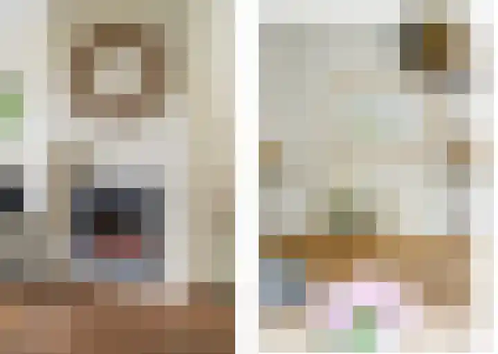 Anemoonstraat 2 Olst thumbnail 5
