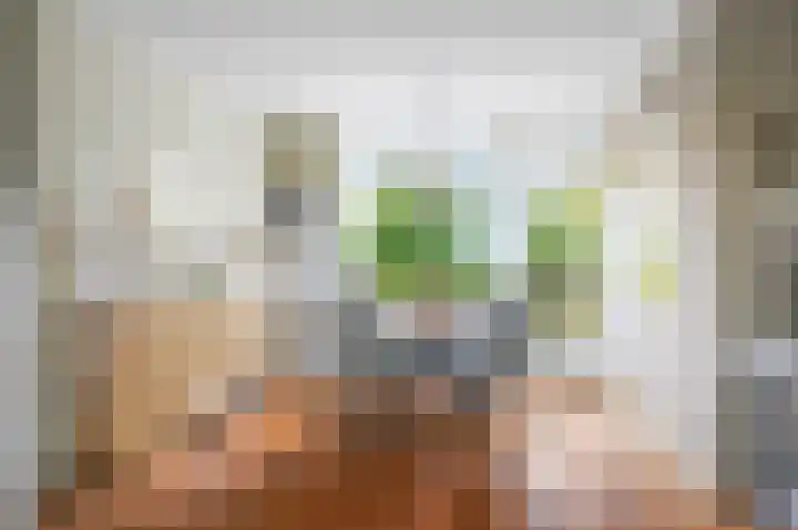 Anemoonstraat 2 Olst thumbnail 6