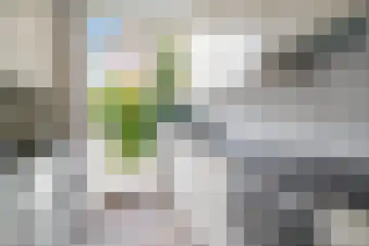 Anemoonstraat 2 Olst thumbnail 7