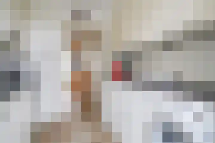 Anemoonstraat 2 Olst thumbnail 8
