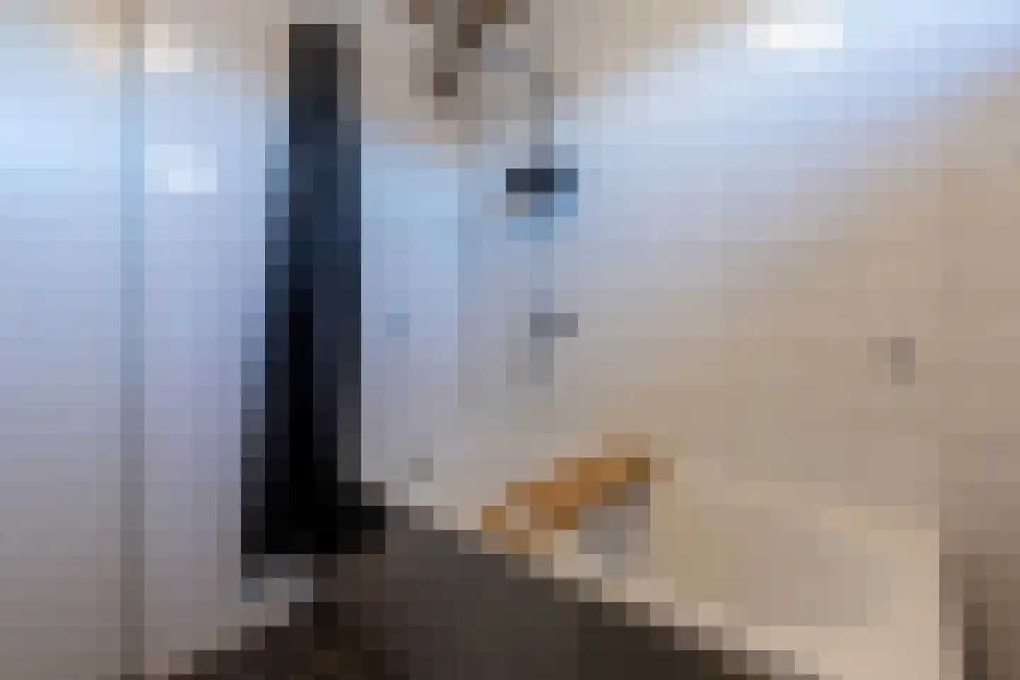 Anemoonstraat 2 Putte thumbnail 19