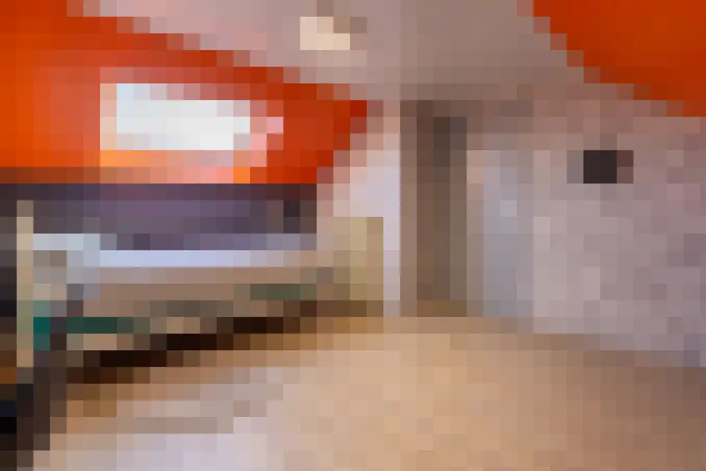 Anemoonstraat 2 Putte thumbnail 31