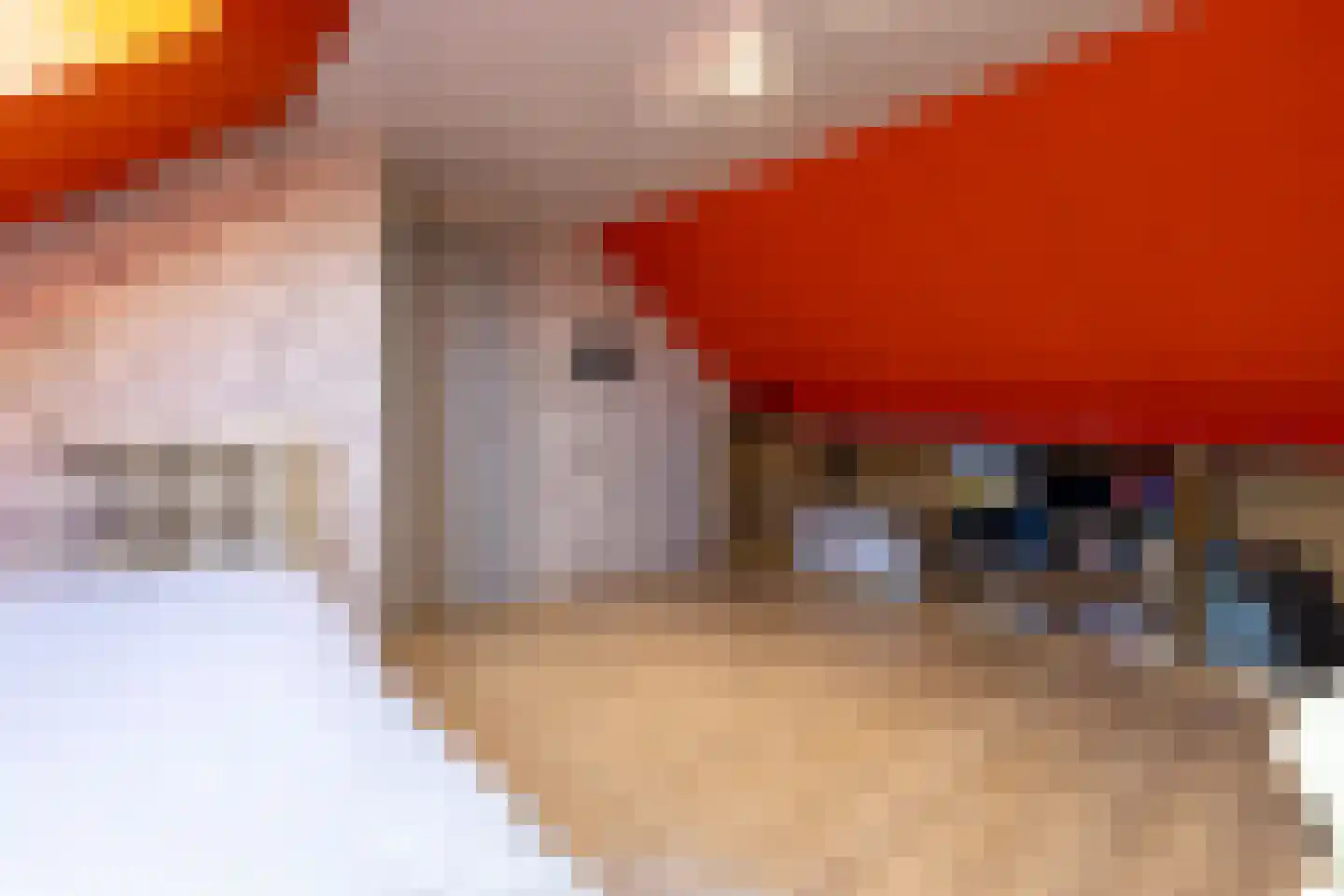 Anemoonstraat 2 Putte thumbnail 32