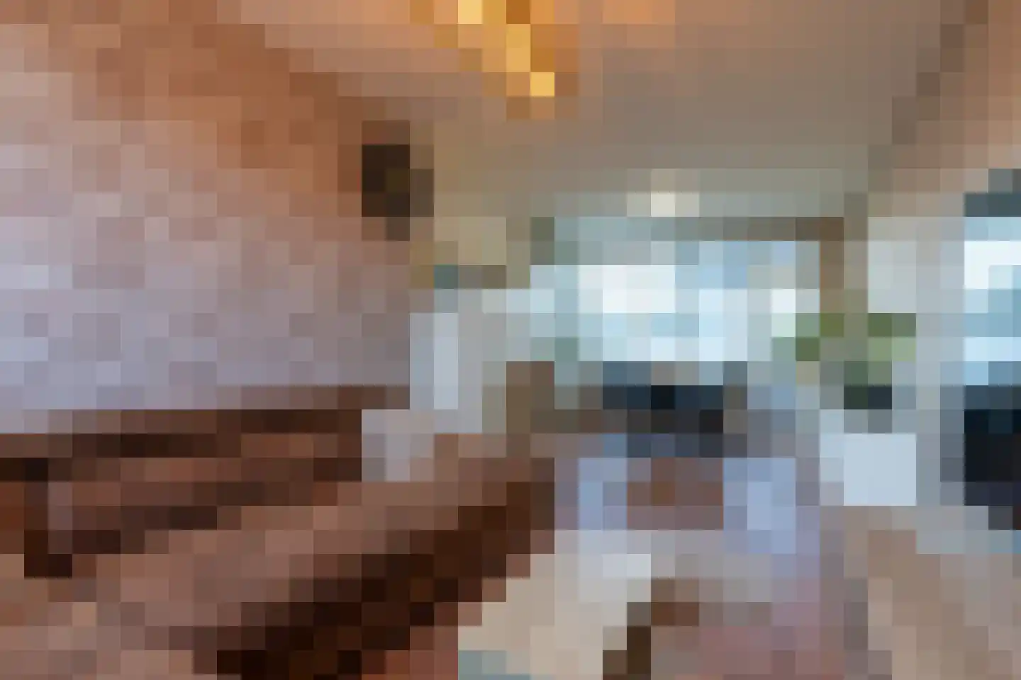 Anemoonstraat 2 Putte thumbnail 9