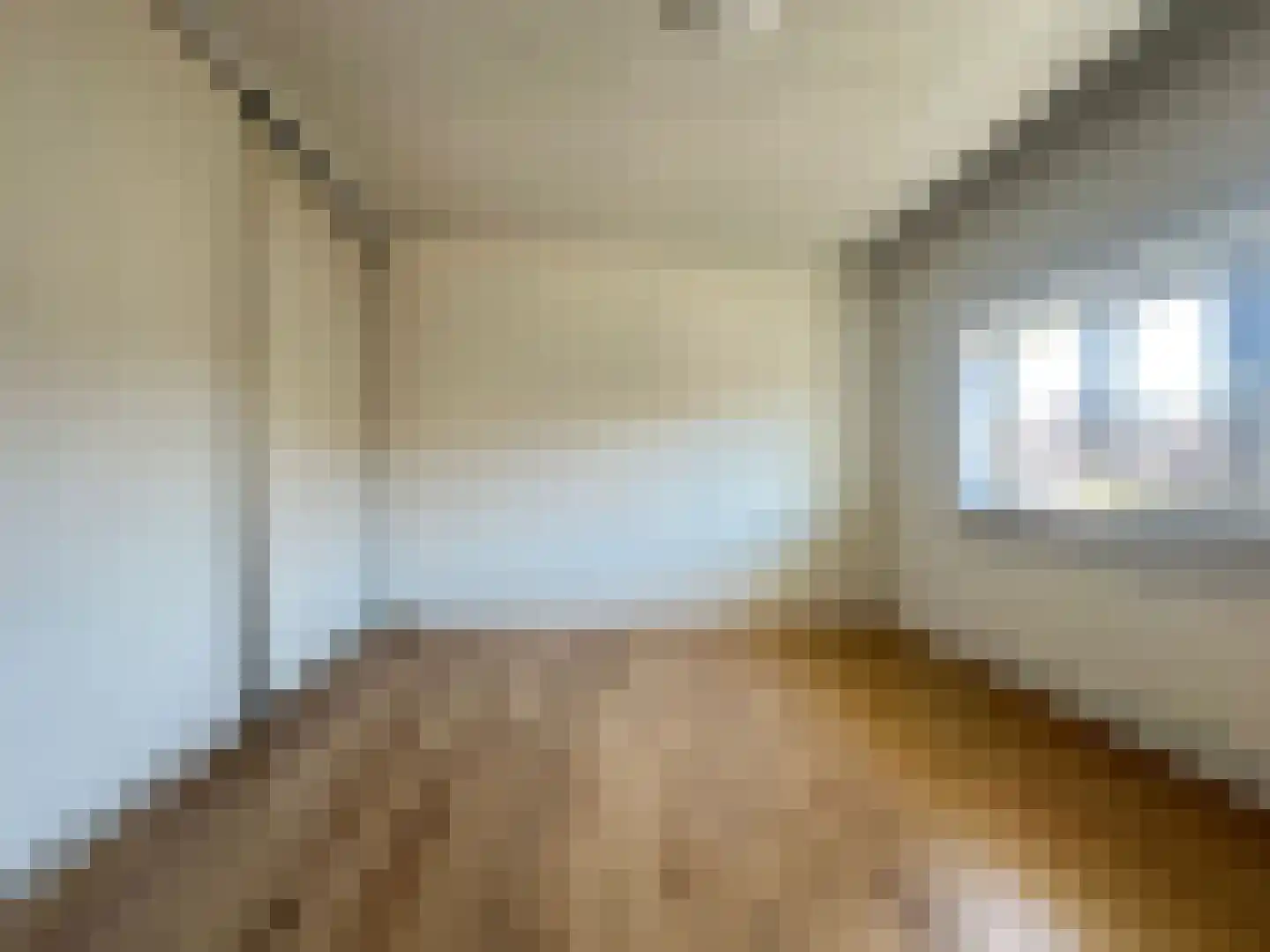 Anemoonstraat 22 Koog aan de Zaan thumbnail 10