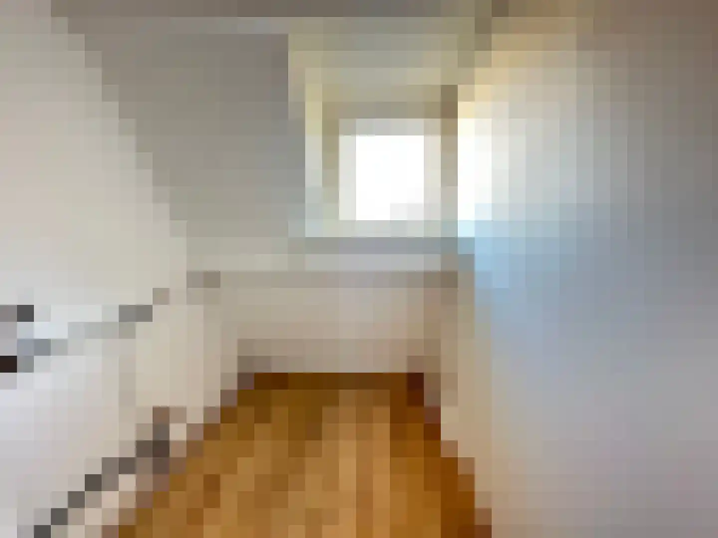 Anemoonstraat 22 Koog aan de Zaan thumbnail 11