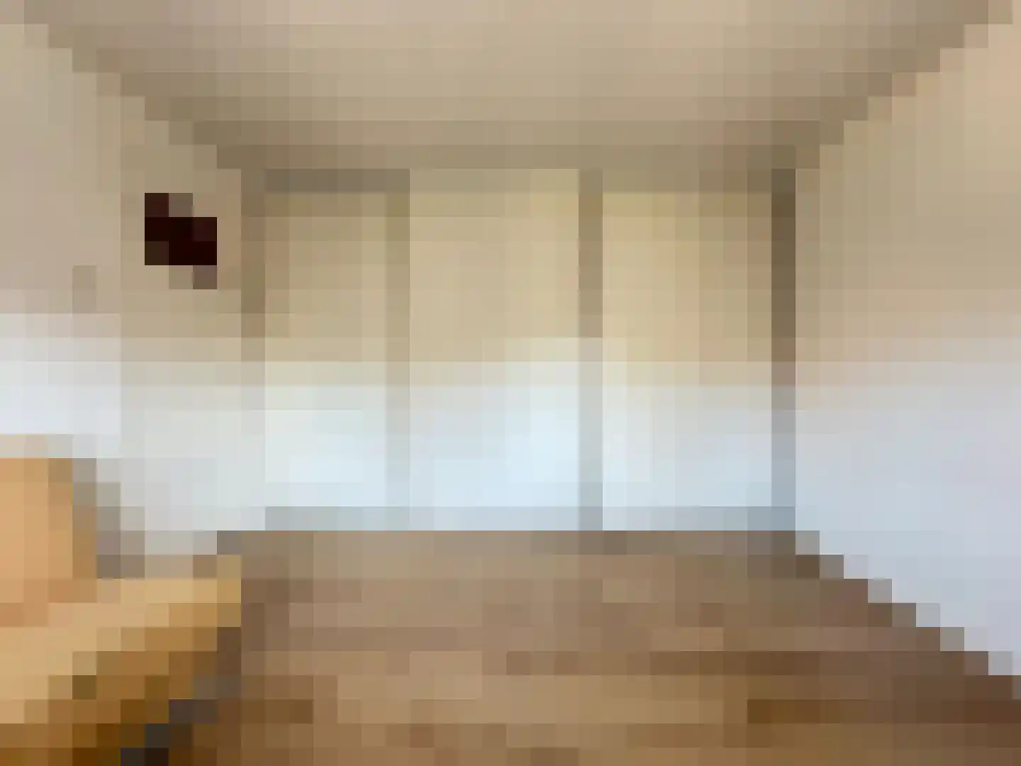 Anemoonstraat 22 Koog aan de Zaan thumbnail 12