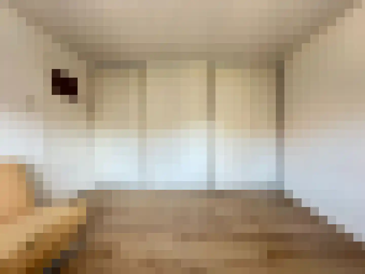 Anemoonstraat 22 Koog aan de Zaan thumbnail 13