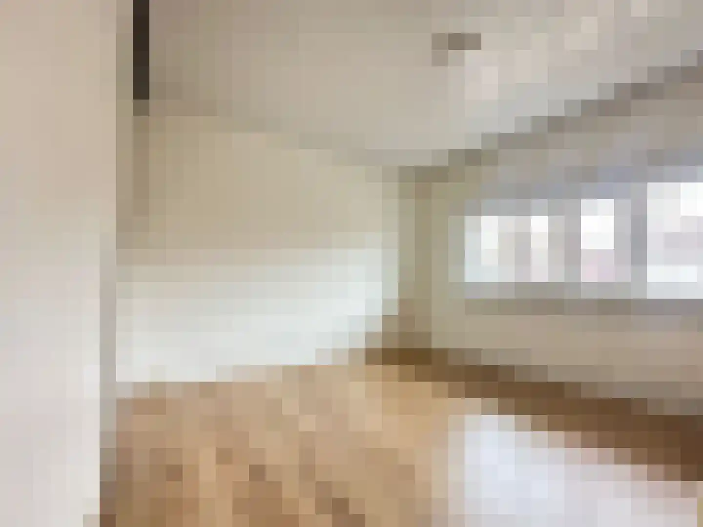 Anemoonstraat 22 Koog aan de Zaan thumbnail 14