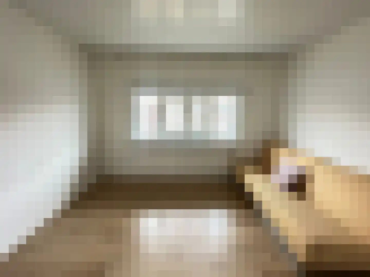 Anemoonstraat 22 Koog aan de Zaan thumbnail 17