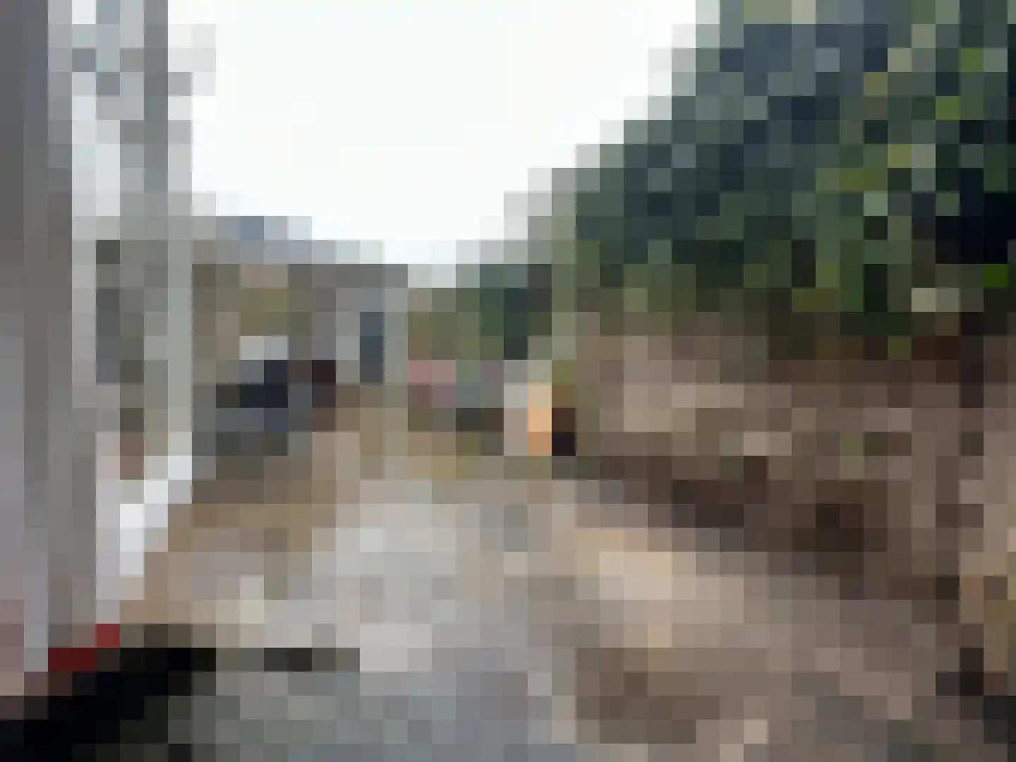 Anemoonstraat 22 Koog aan de Zaan thumbnail 17