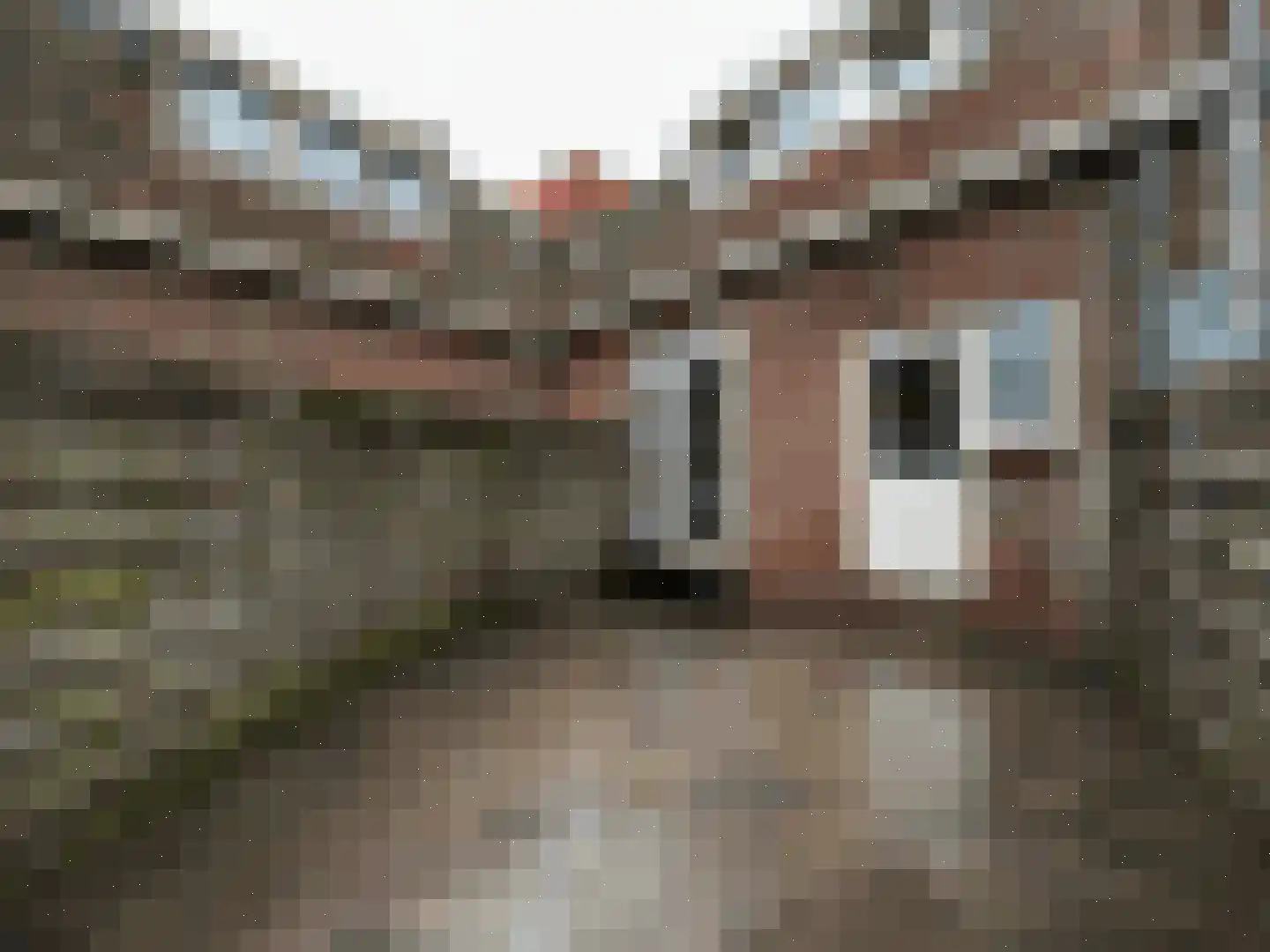 Anemoonstraat 22 Koog aan de Zaan thumbnail 18