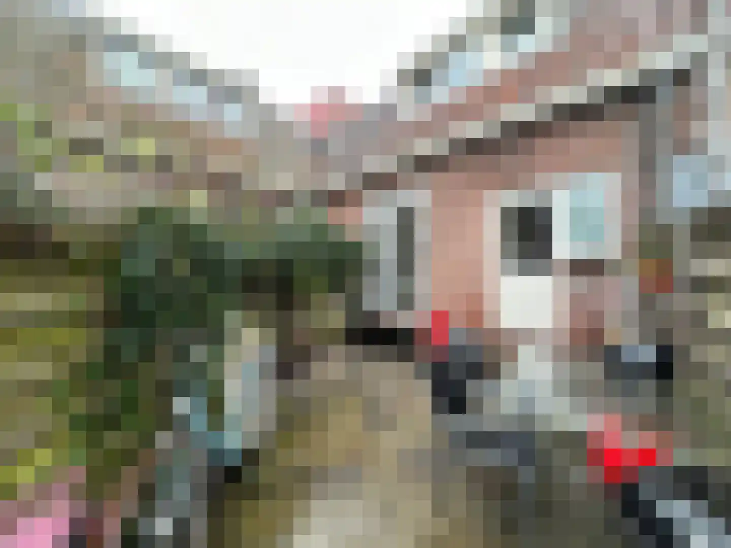 Anemoonstraat 22 Koog aan de Zaan thumbnail 19