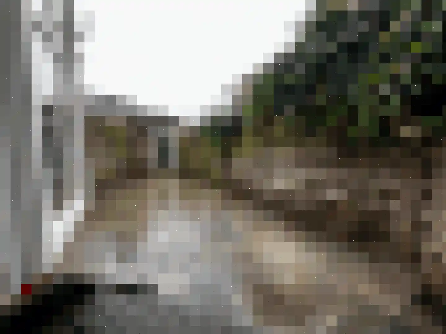 Anemoonstraat 22 Koog aan de Zaan thumbnail 19