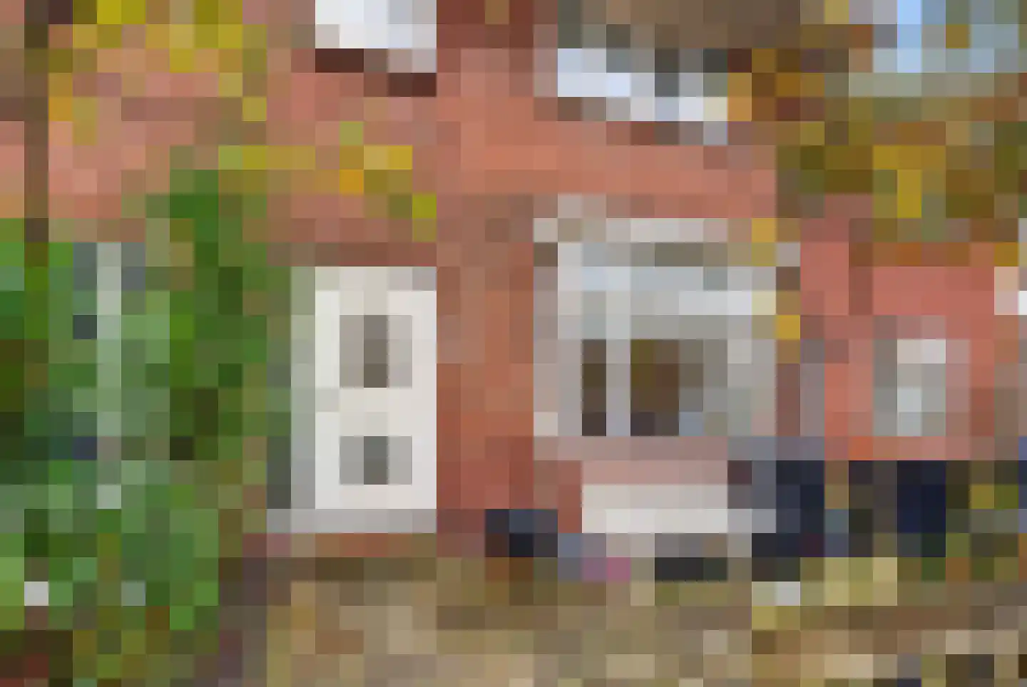 Anemoonstraat 22 Koog aan de Zaan thumbnail 20