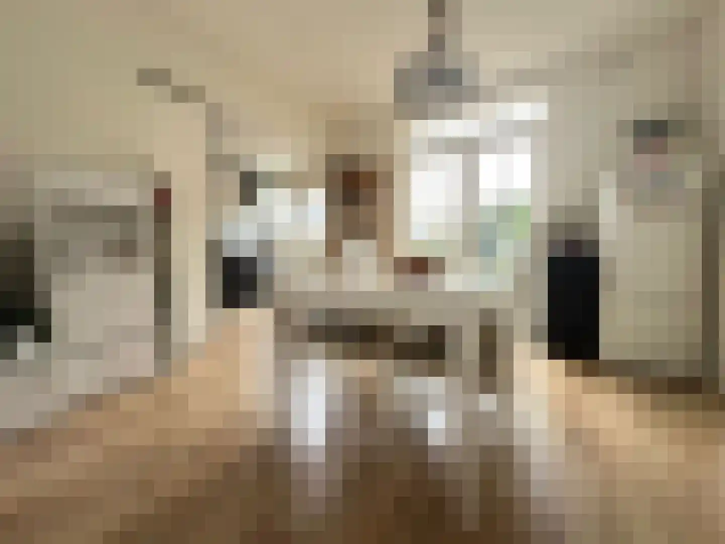Anemoonstraat 22 Koog aan de Zaan thumbnail 4