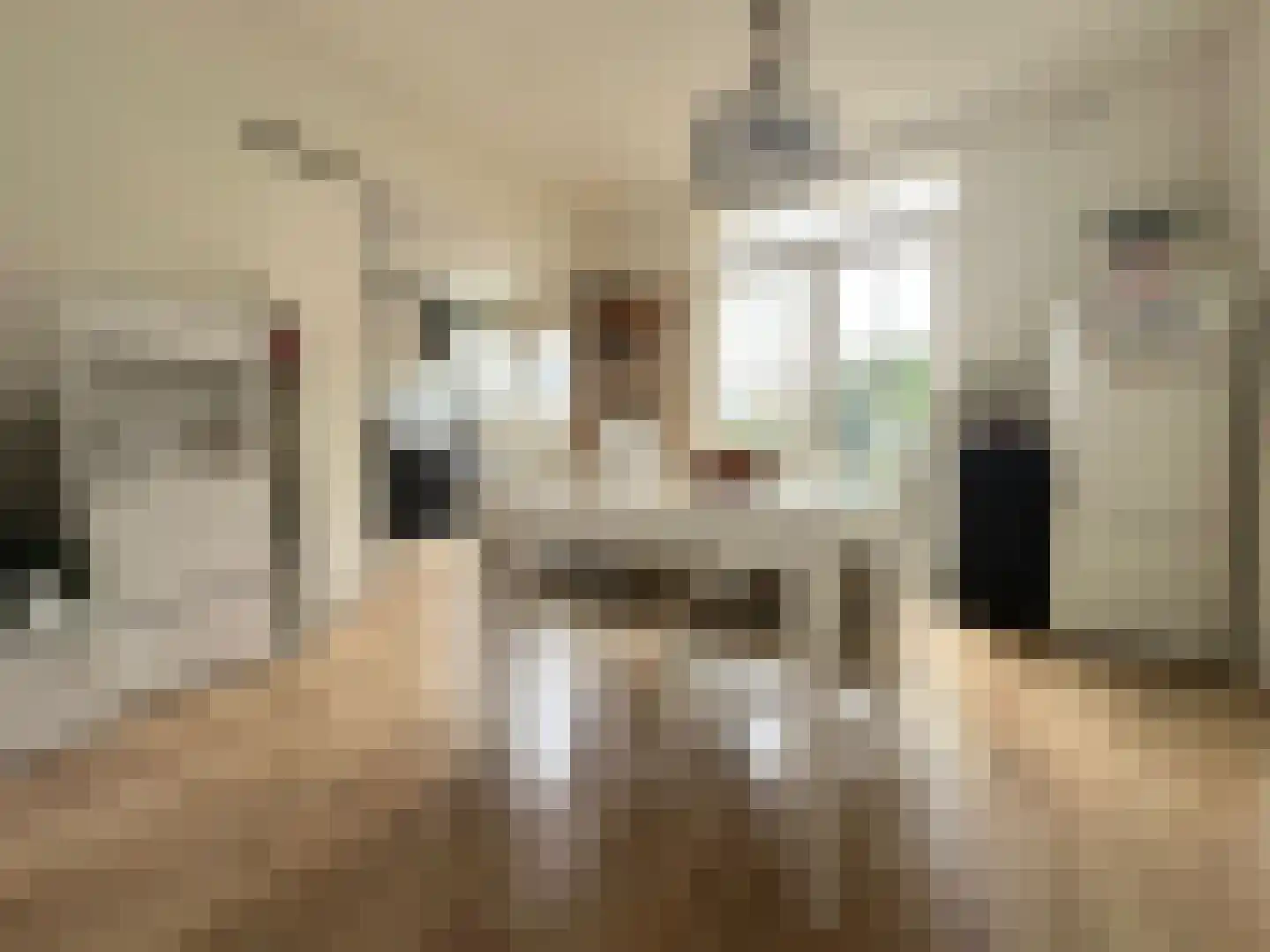 Anemoonstraat 22 Koog aan de Zaan thumbnail 4