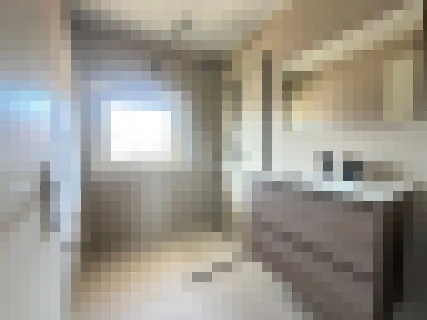 Anemoonstraat 22 Koog aan de Zaan thumbnail 5