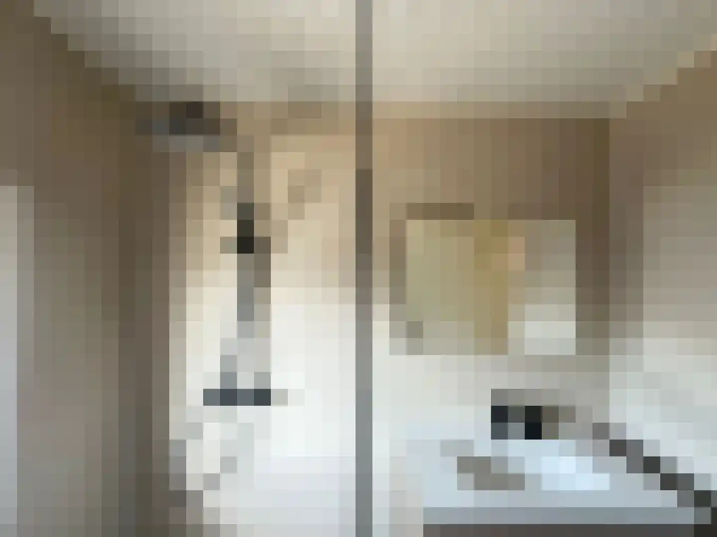 Anemoonstraat 22 Koog aan de Zaan thumbnail 8