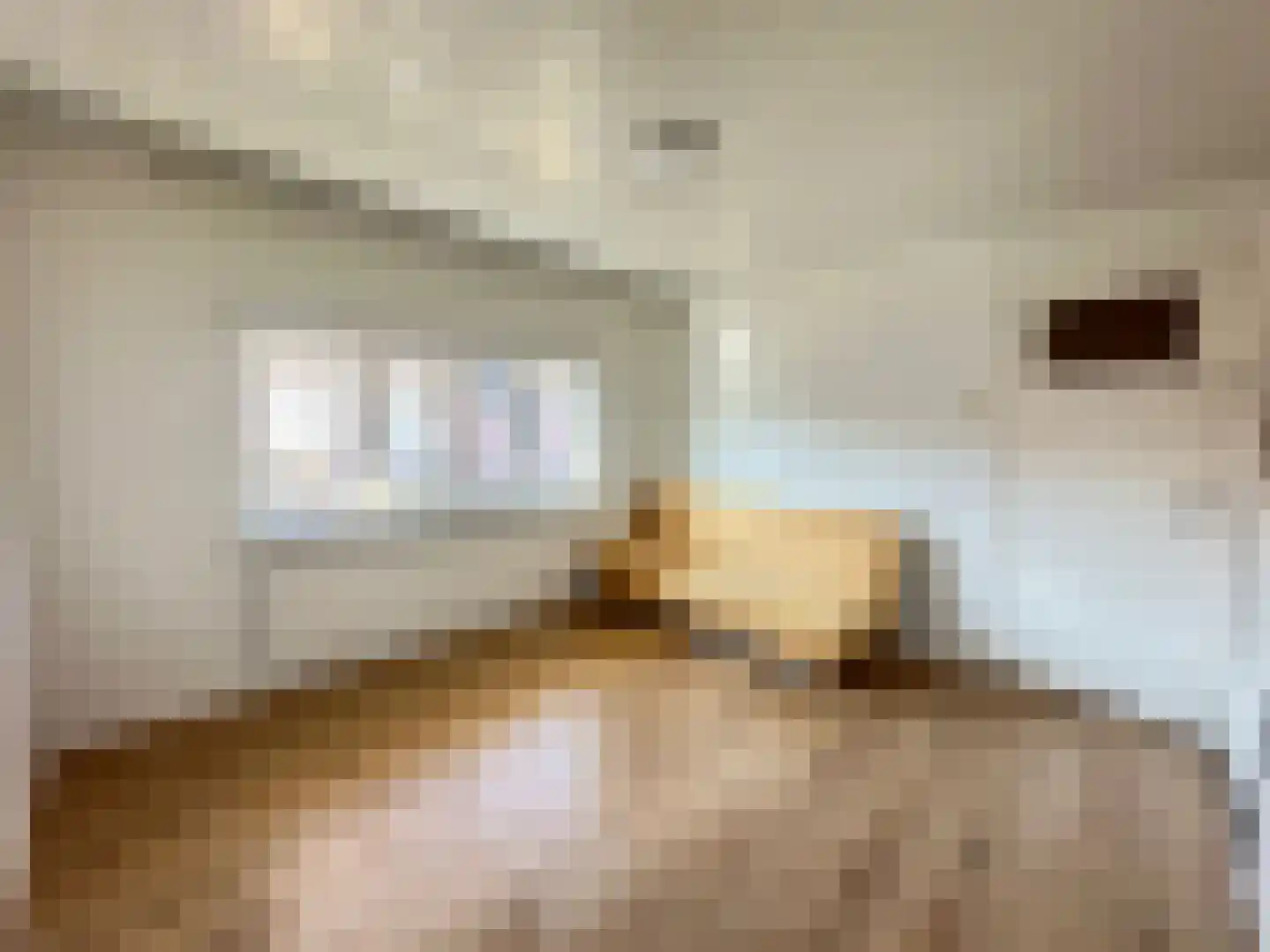 Anemoonstraat 22 Koog aan de Zaan thumbnail 9