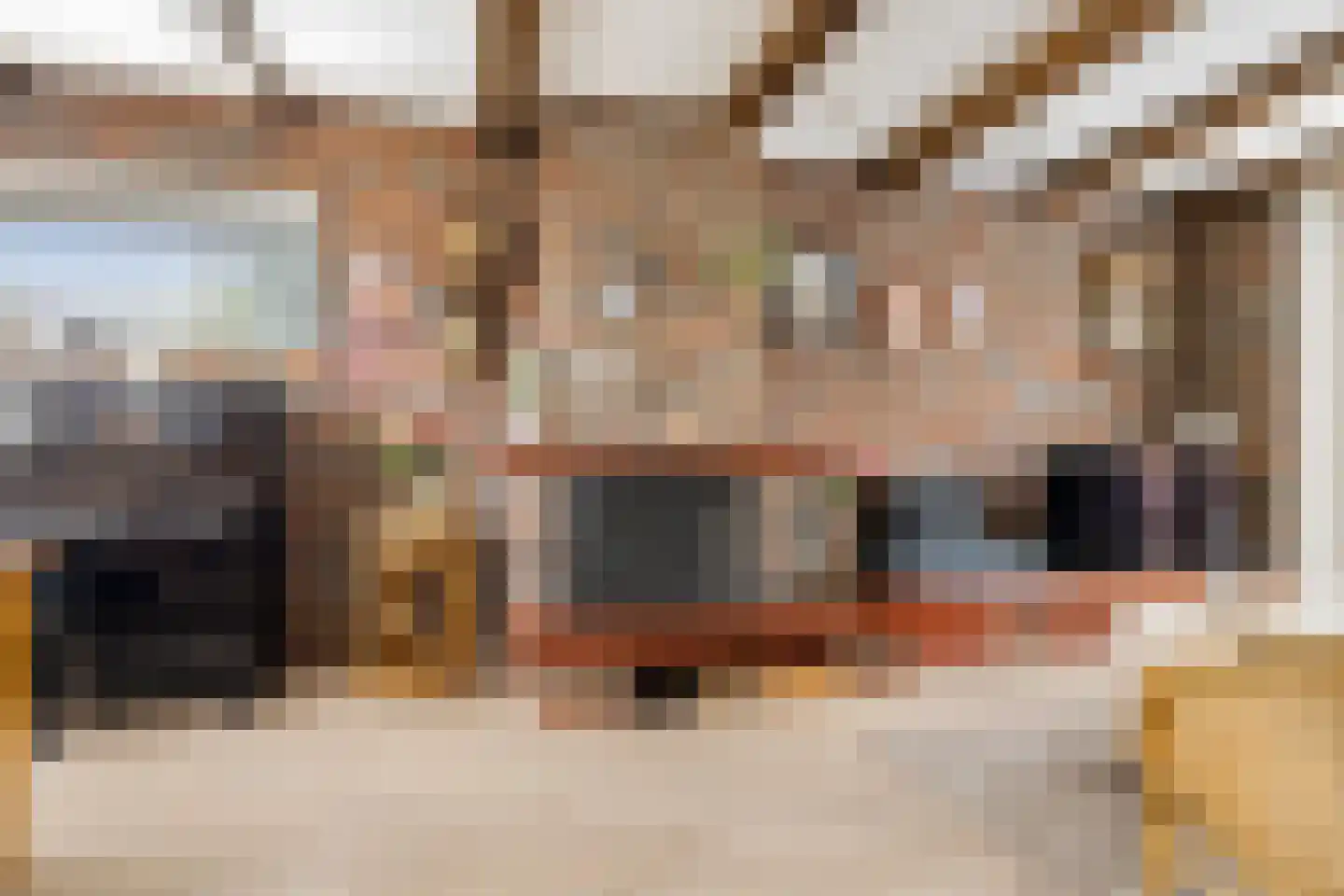 Anemoonstraat 22 Oostzaan thumbnail 11
