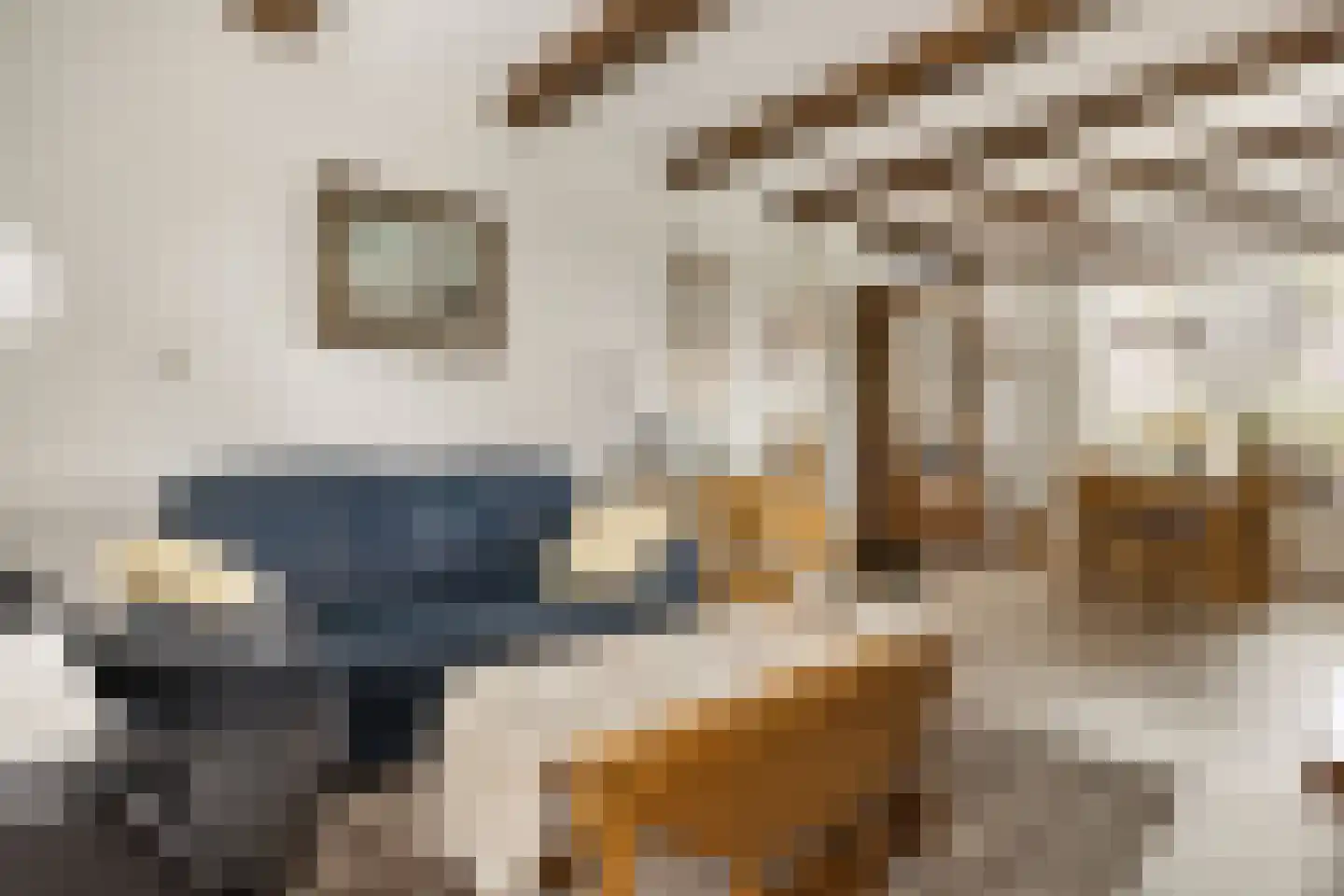Anemoonstraat 22 Oostzaan thumbnail 13