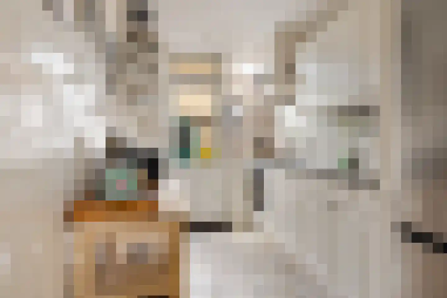 Anemoonstraat 22 Oostzaan thumbnail 18
