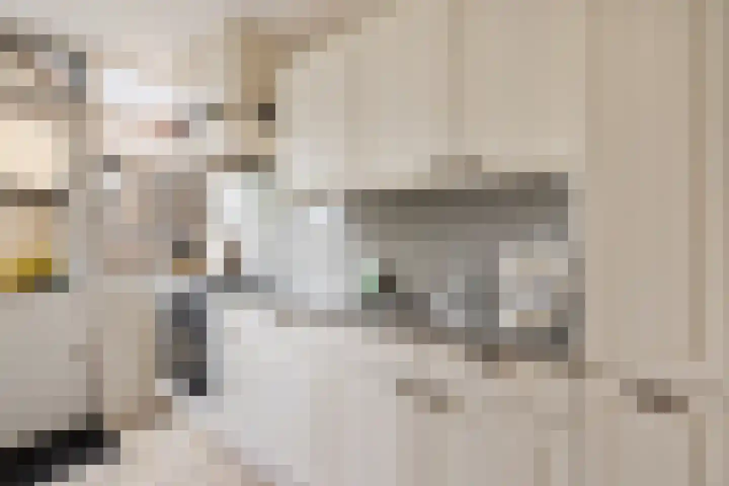 Anemoonstraat 22 Oostzaan thumbnail 19