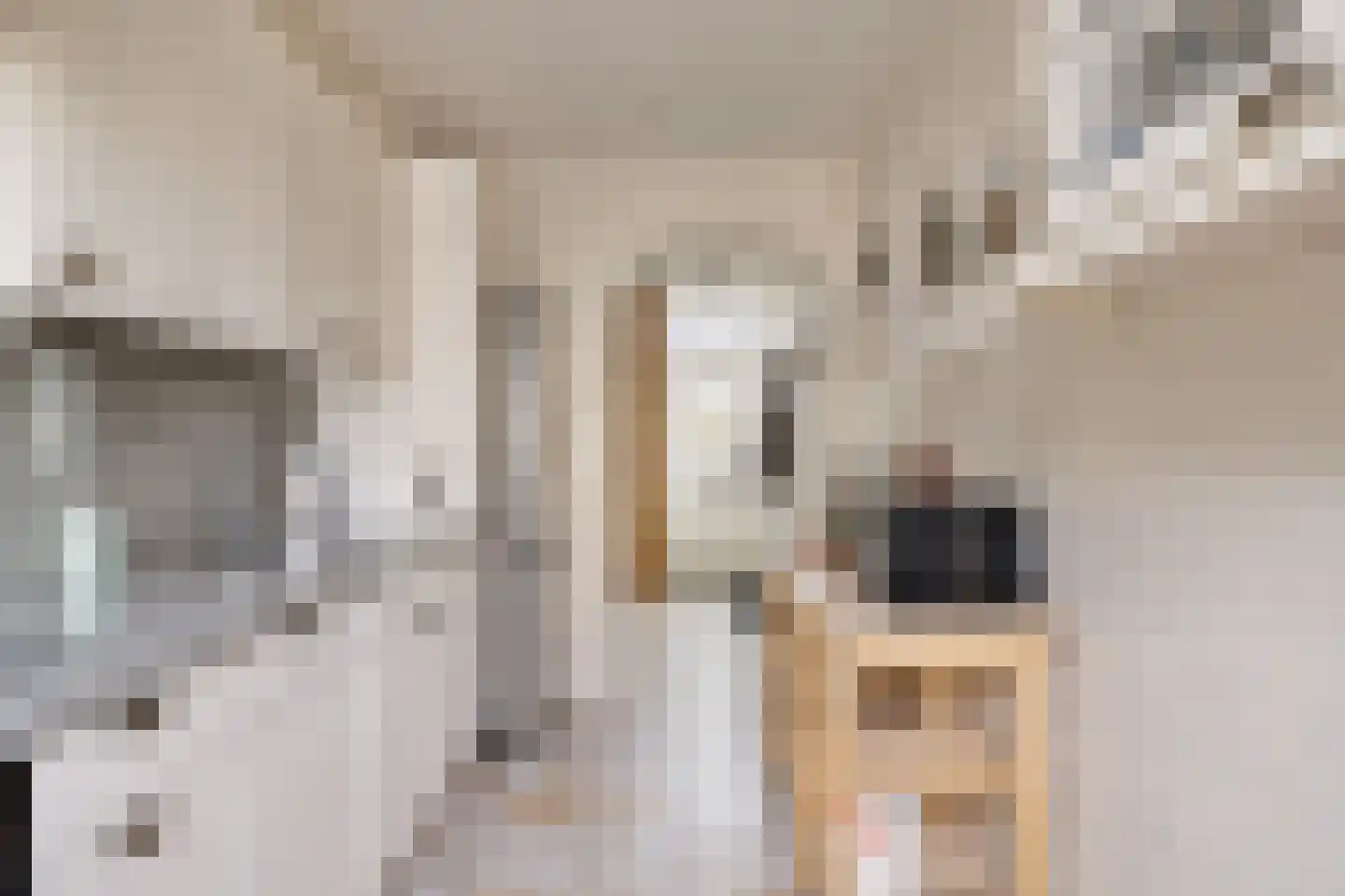 Anemoonstraat 22 Oostzaan thumbnail 20