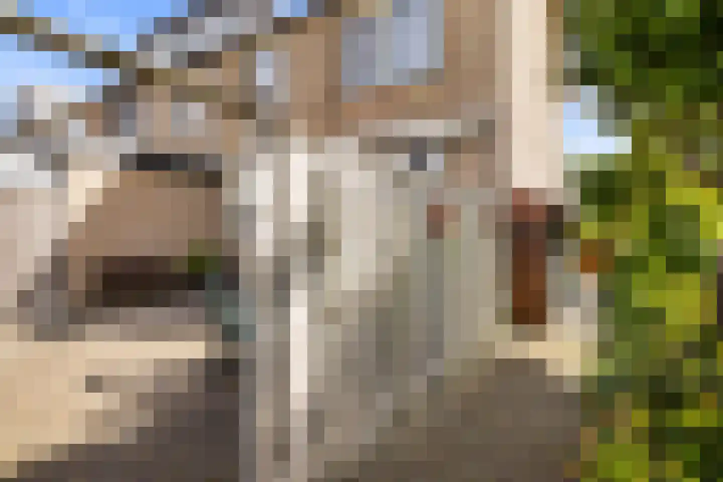 Anemoonstraat 22 Oostzaan thumbnail 21