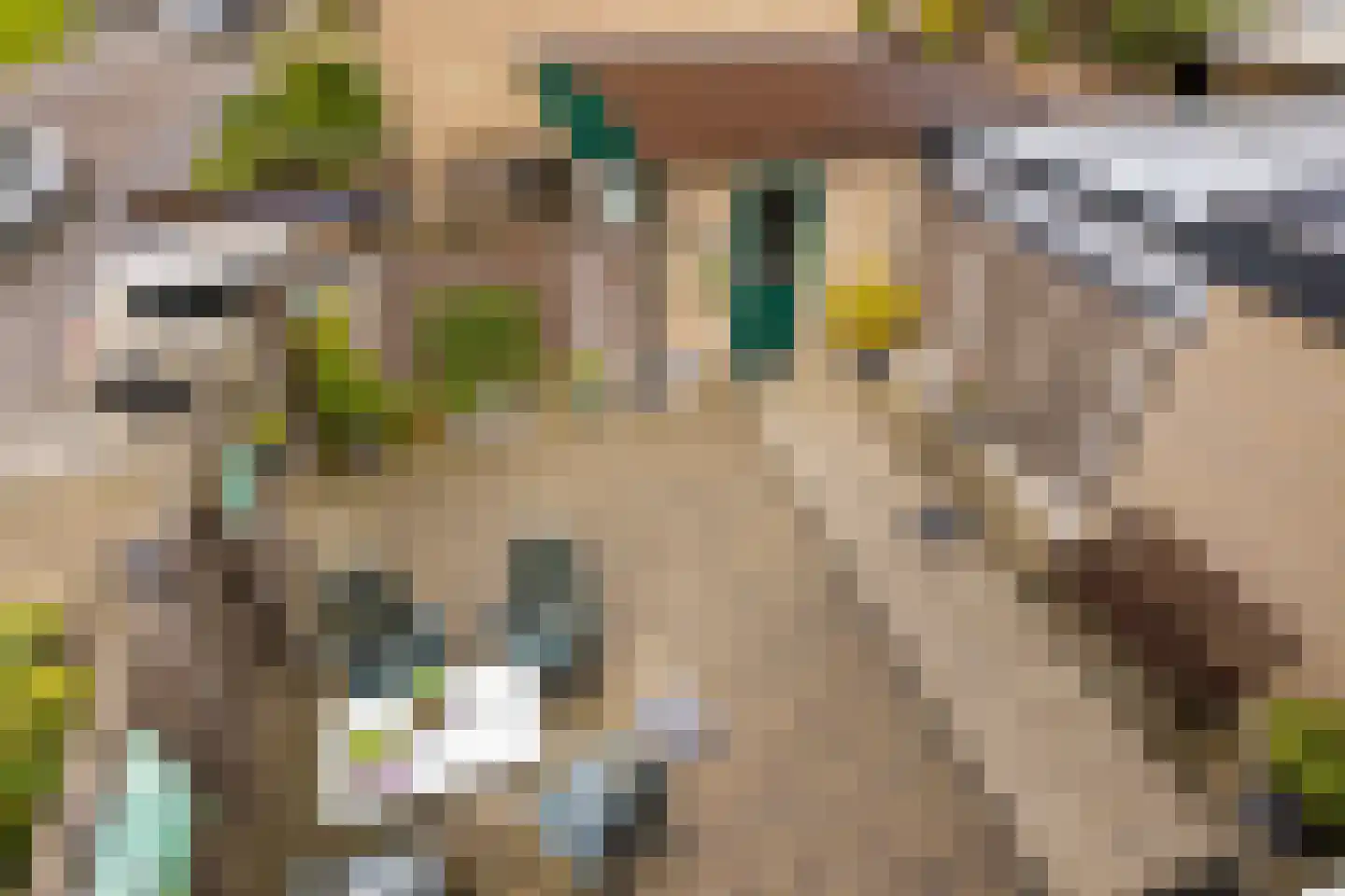Anemoonstraat 22 Oostzaan thumbnail 47