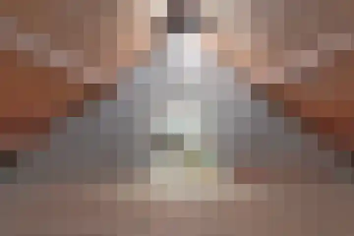 Anemoonstraat 22 Oud-Beijerland thumbnail 27