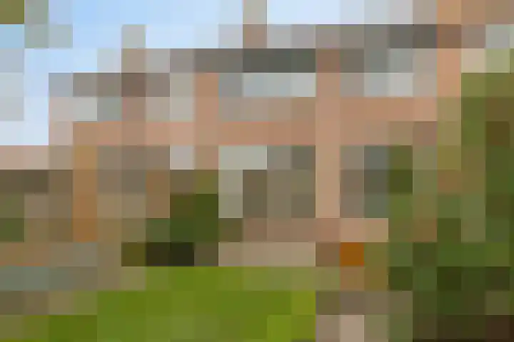 Anemoonstraat 22 Oud-Beijerland thumbnail 4