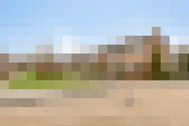 Anemoonstraat 22 Oud-Beijerland thumbnail 5