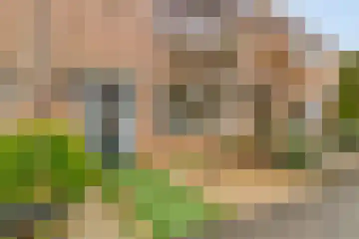 Anemoonstraat 22 Oud-Beijerland thumbnail 8
