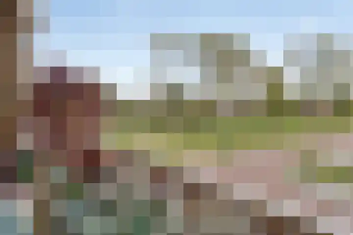 Anemoonstraat 24 Bergen op Zoom thumbnail 20