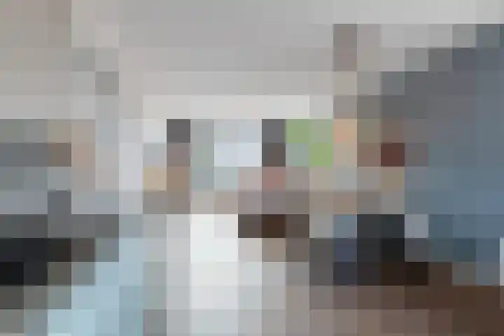 Anemoonstraat 24 Bergen op Zoom thumbnail 5