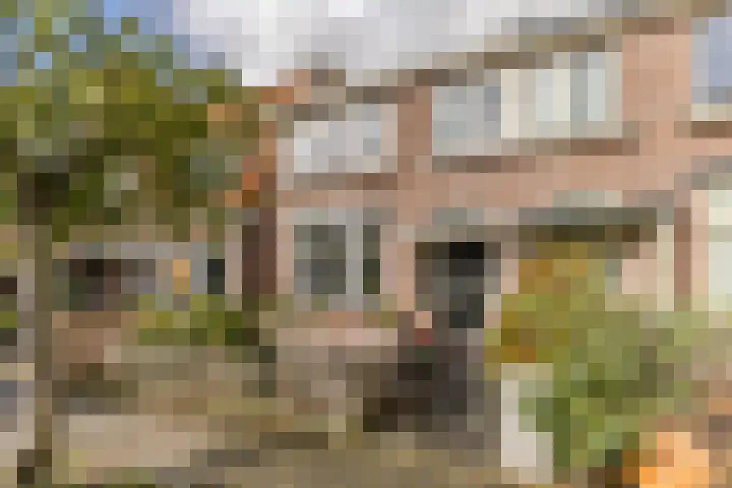 Anemoonstraat 27 in Koog aan de Zaan