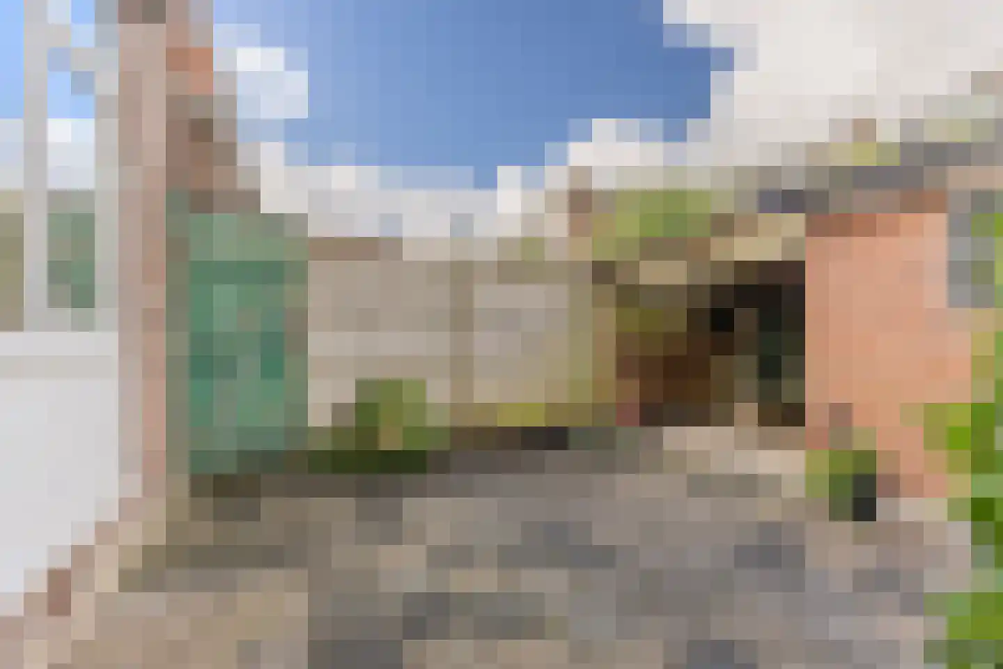 Anemoonstraat 27 Koog aan de Zaan thumbnail 12