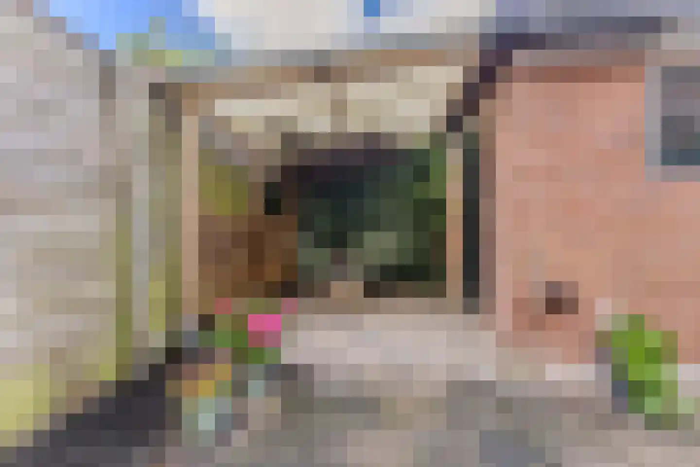 Anemoonstraat 27 Koog aan de Zaan thumbnail 13