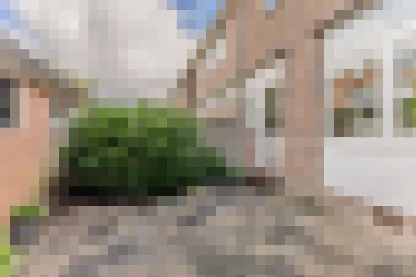 Anemoonstraat 27 Koog aan de Zaan thumbnail 15