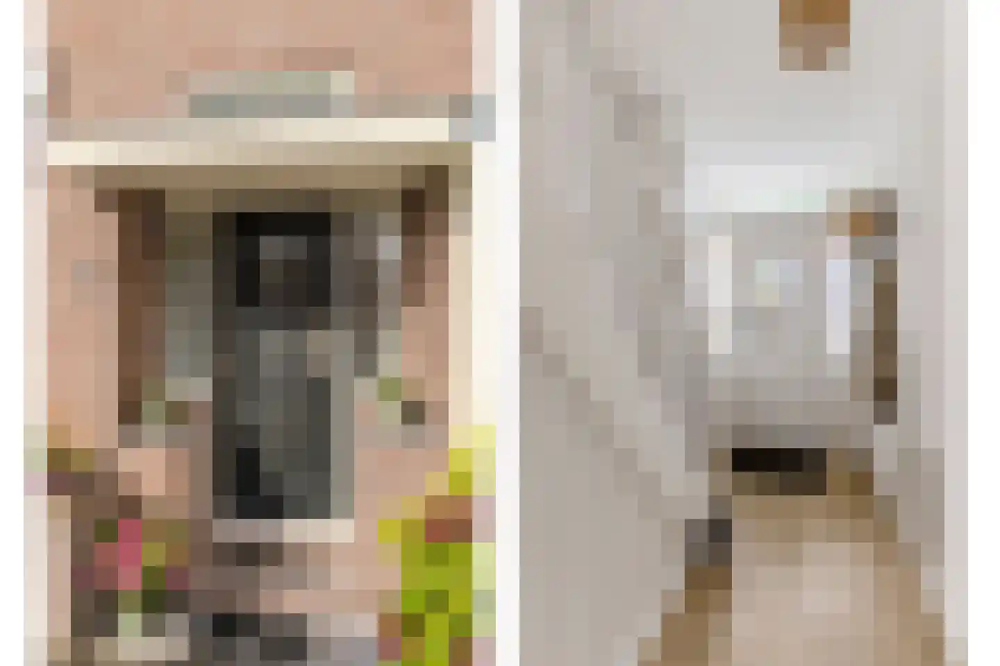 Anemoonstraat 27 Koog aan de Zaan thumbnail 16