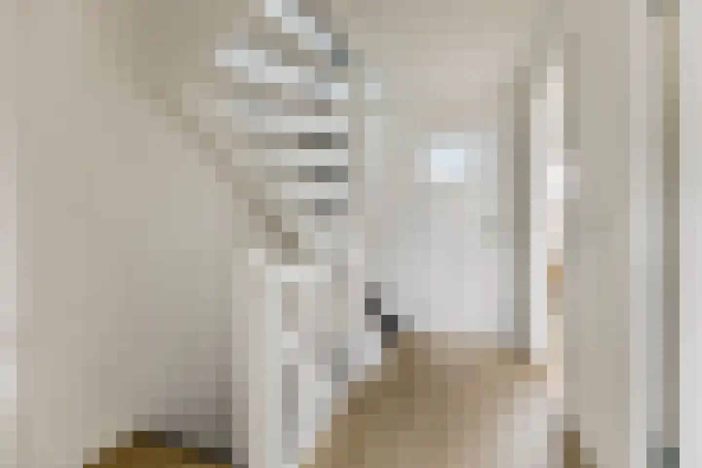 Anemoonstraat 27 Koog aan de Zaan thumbnail 18