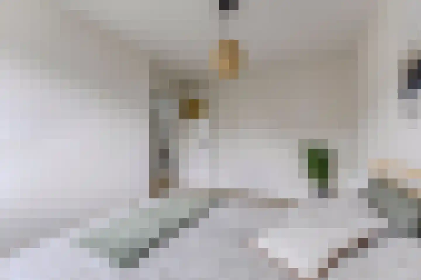 Anemoonstraat 27 Koog aan de Zaan thumbnail 20