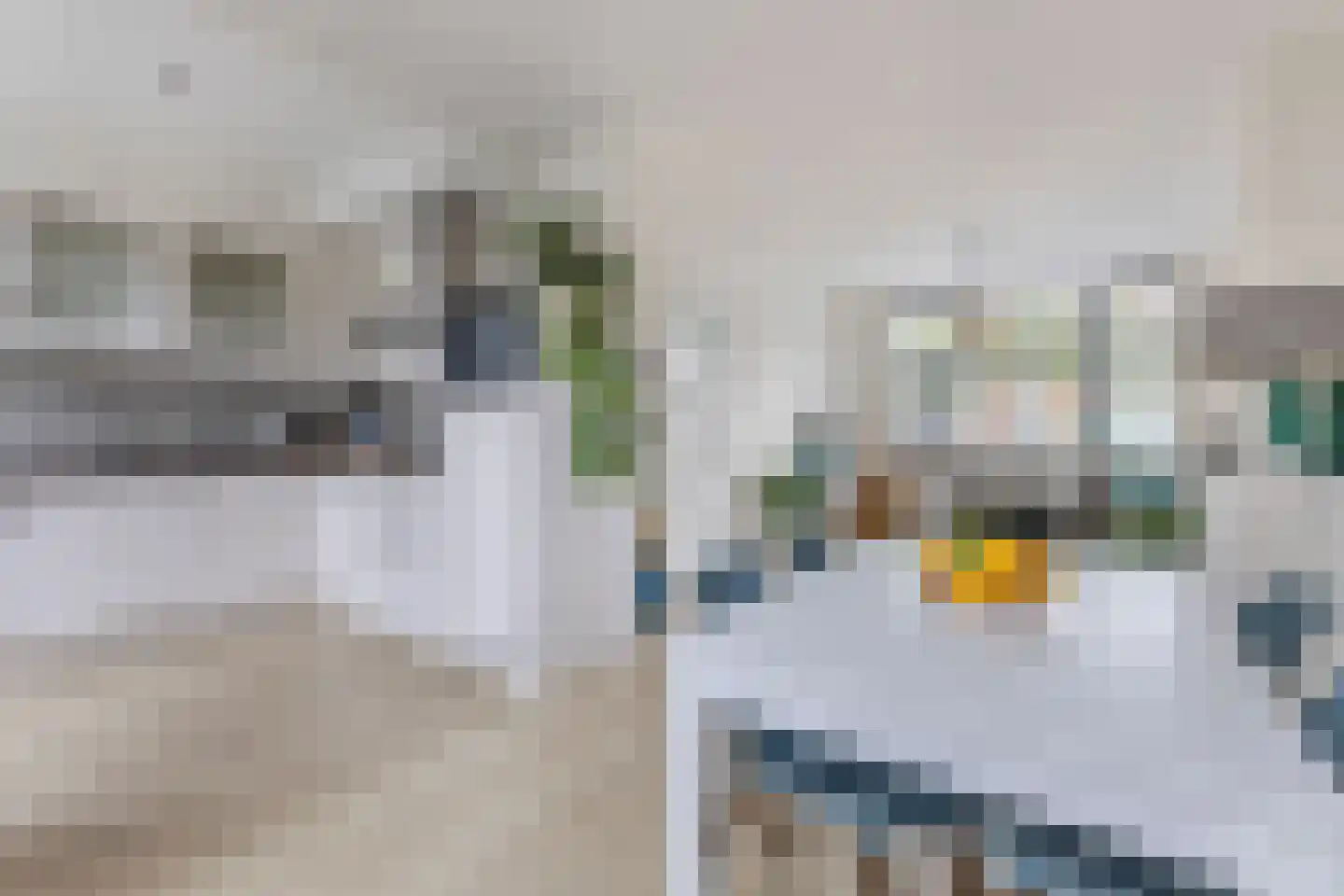 Anemoonstraat 27 Koog aan de Zaan thumbnail 8