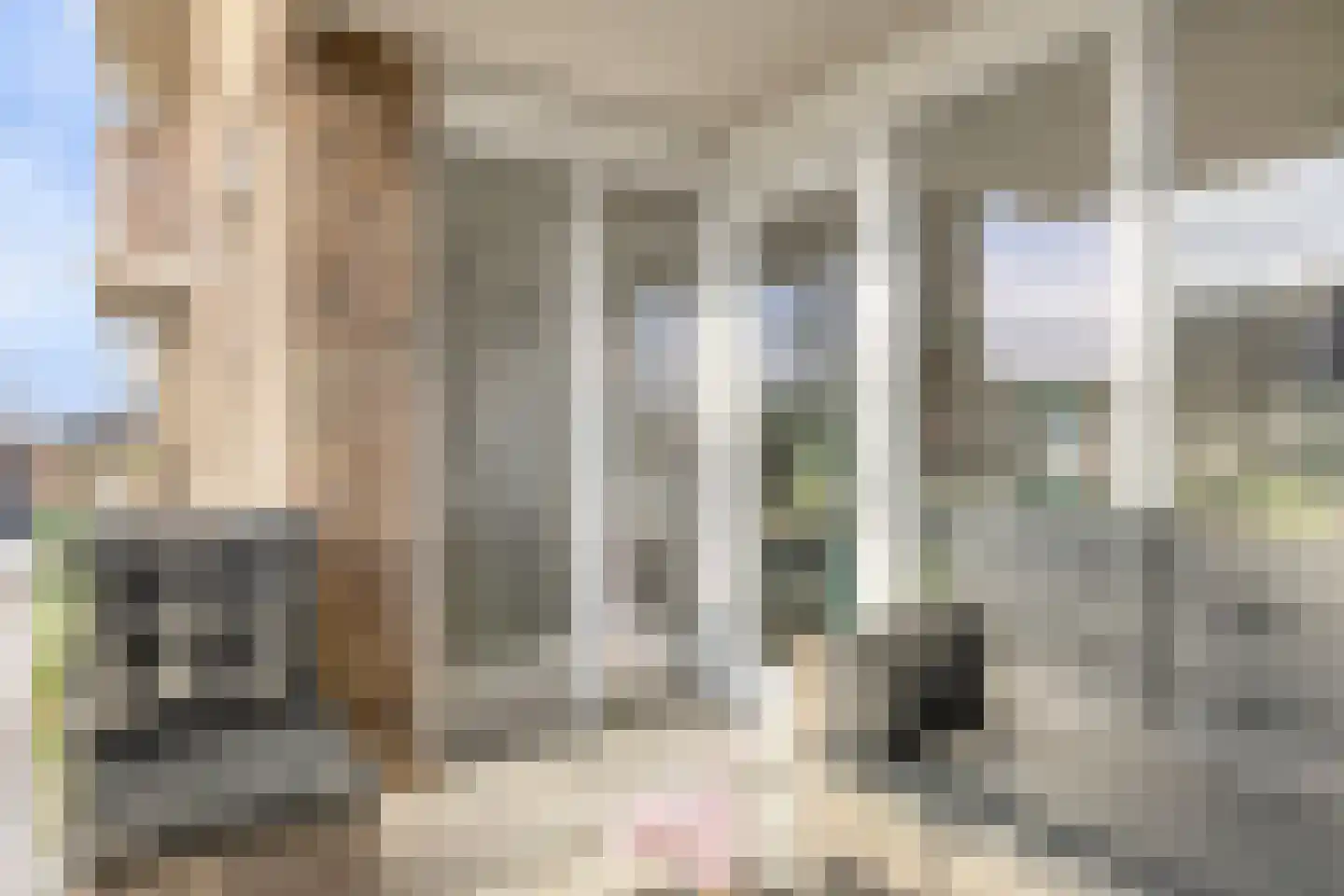 Anemoonstraat 28 Bergen op Zoom thumbnail 15