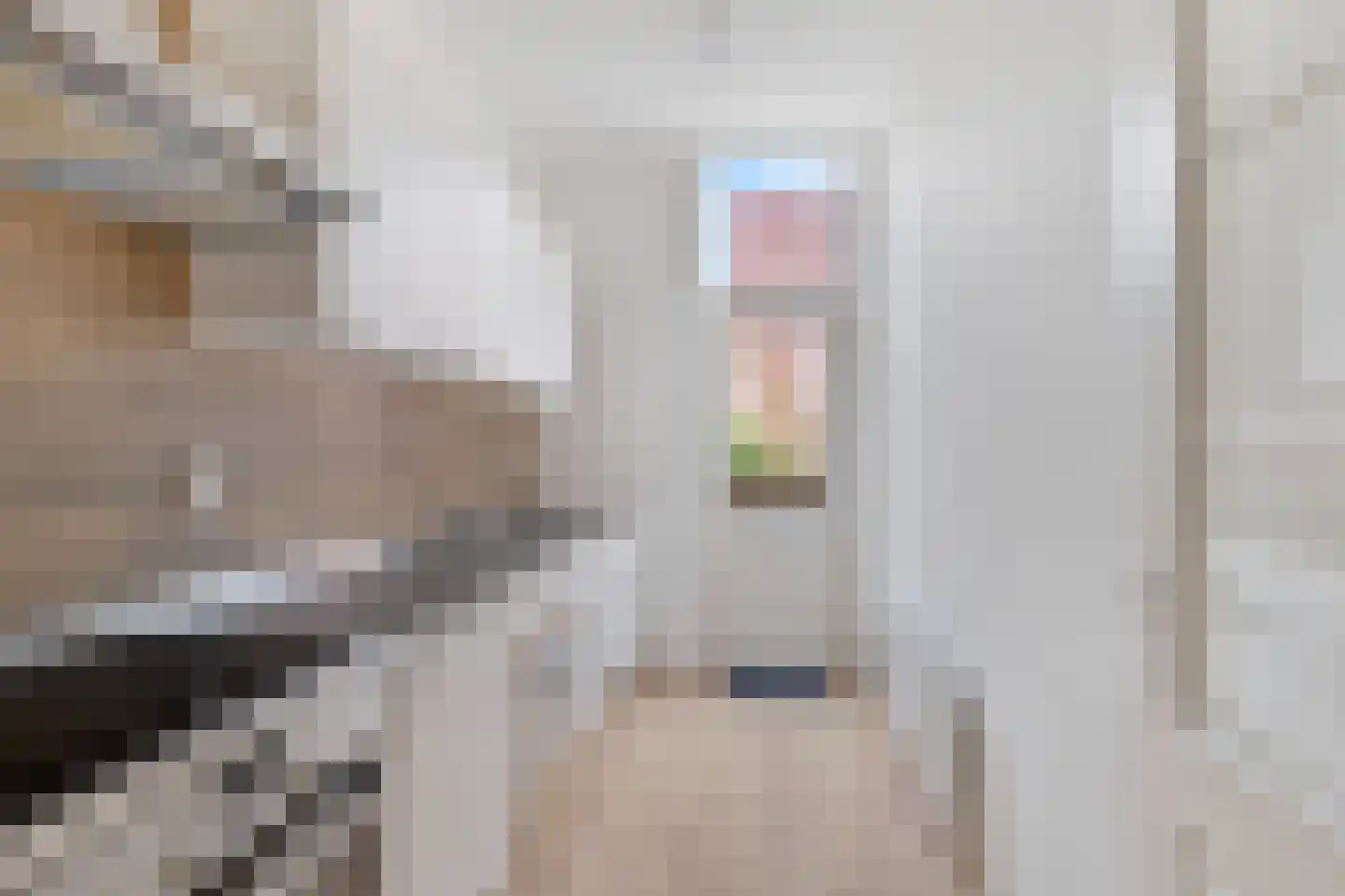 Anemoonstraat 3 BS Utrecht thumbnail 17