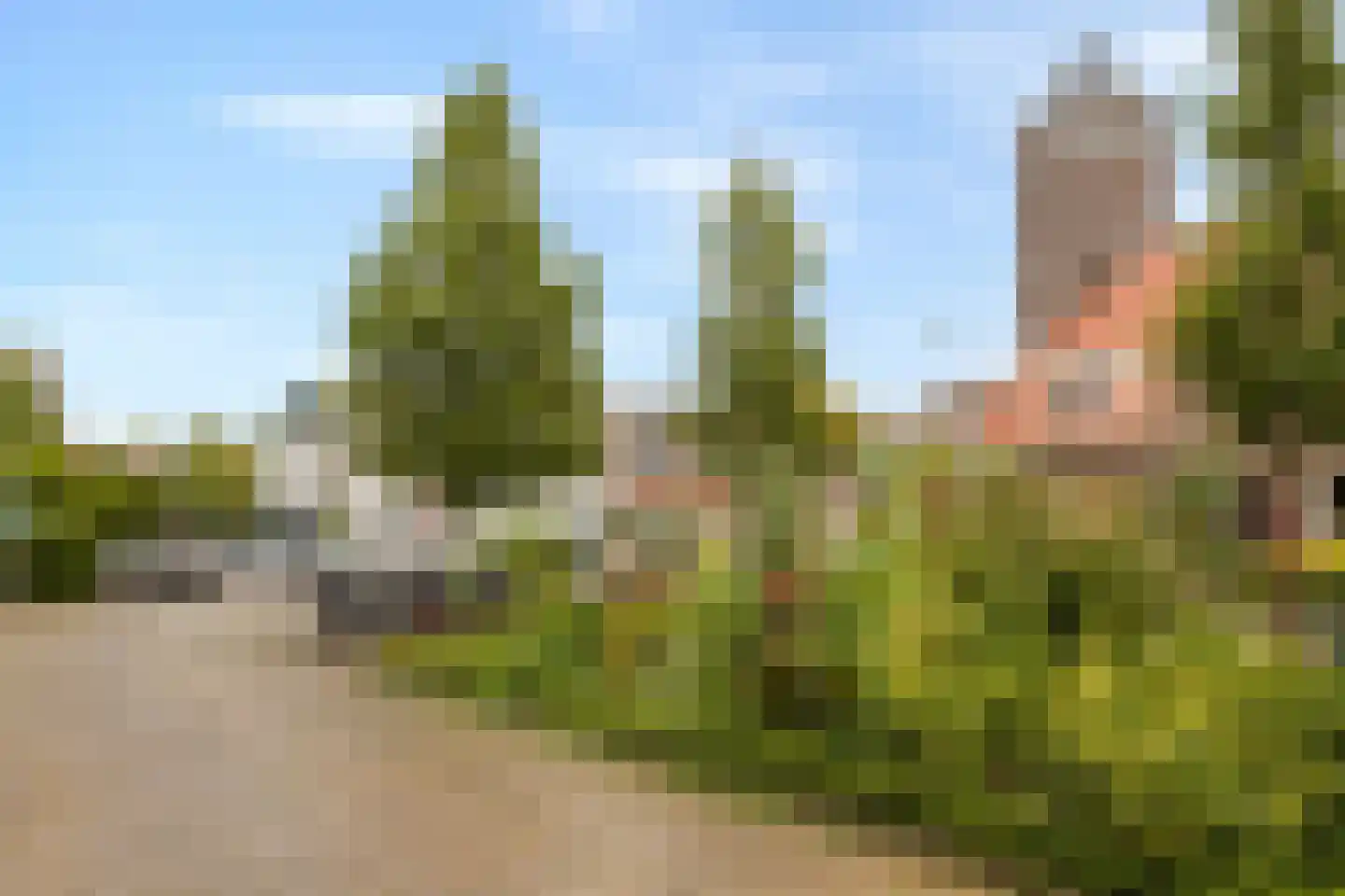 Anemoonstraat 3 BS Utrecht thumbnail 52